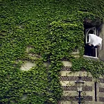 Buitenplaats Kasteel 3* Elsloo (Limburg)