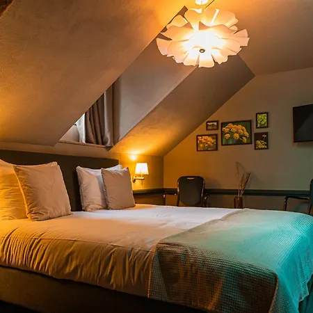 Hotel Buitenplaats Kasteel Elsloo 3*