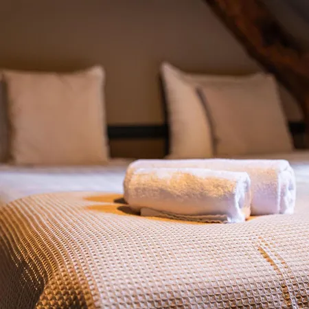 Hotel Buitenplaats Kasteel Elsloo 3*