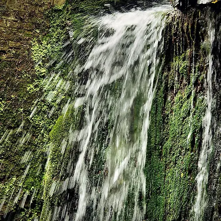 Hotel Buitenplaats Kasteel 3*