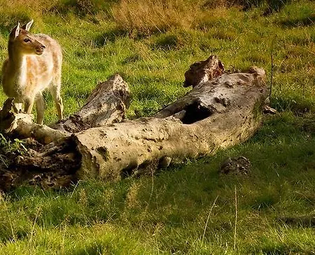 Buitenplaats Kasteel Hotell