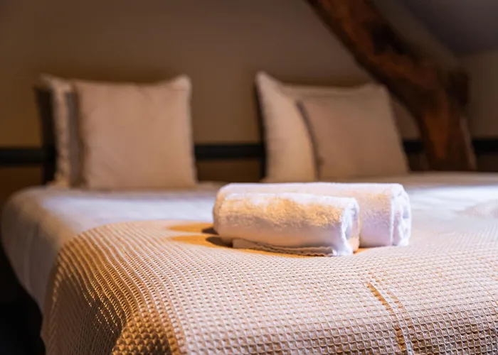 Hotel Buitenplaats Kasteel 3*