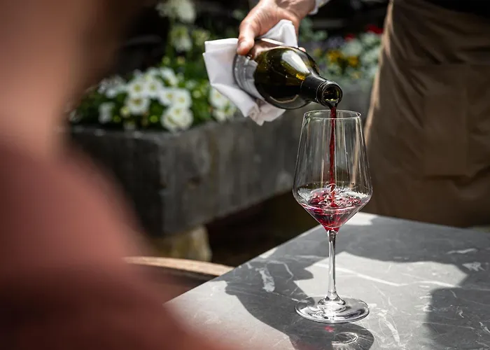 Buitenplaats Kasteel Отель