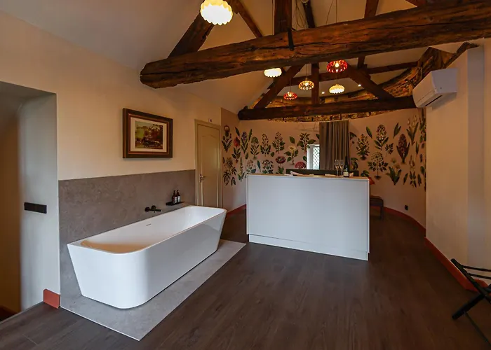 Buitenplaats Kasteel 3* Элслоо