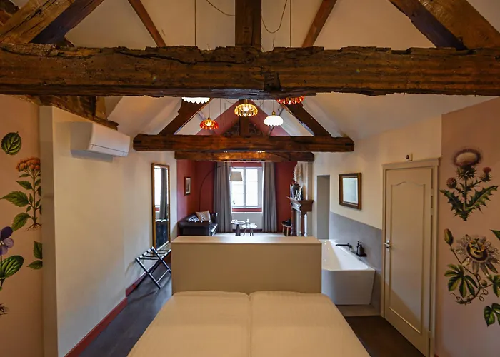 Buitenplaats Kasteel Отель 3*