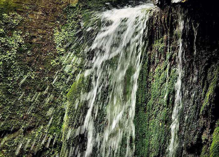 فندق Buitenplaats Kasteel 3*