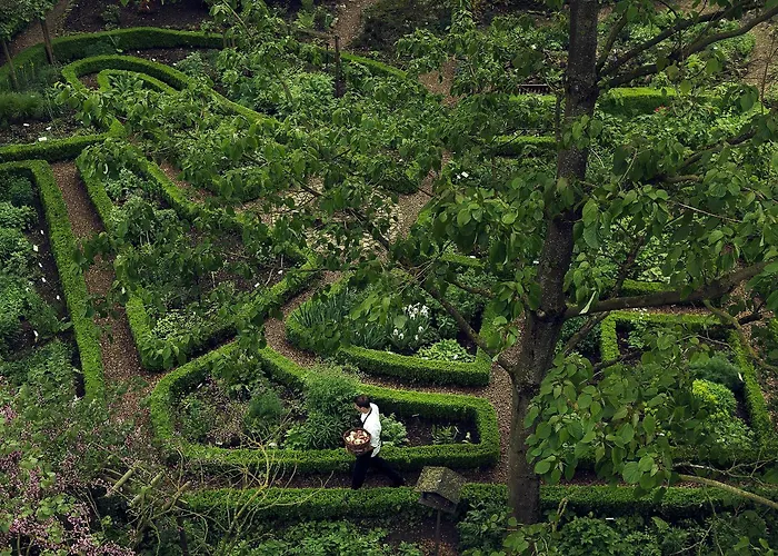 Hotel Buitenplaats Kasteel